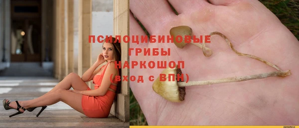 PSILOCYBIN Балабаново