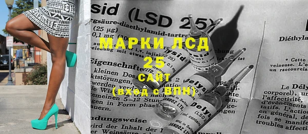 PSILOCYBIN Балабаново