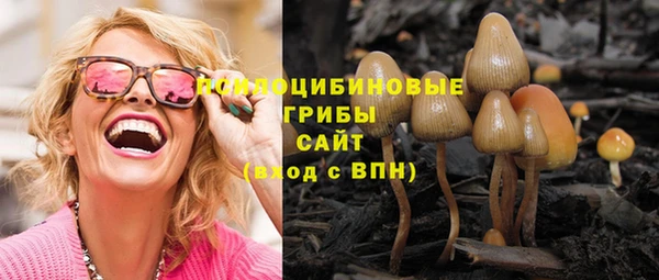 PSILOCYBIN Балабаново