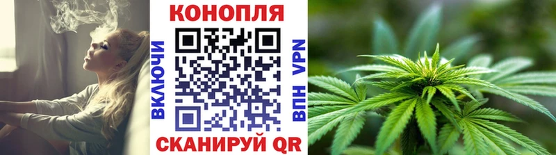 Конопля сатива Цимлянск
